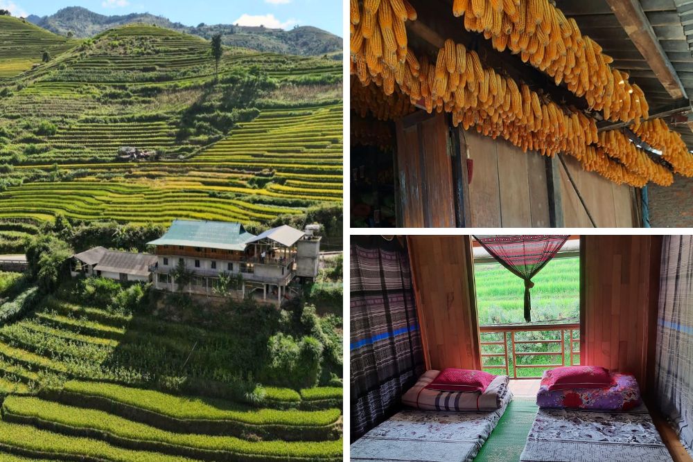 logement chez l'habitant mu cang chai, pu nhu homestay