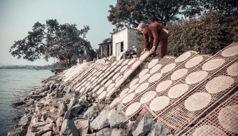 quang binh, vietnam, village, palette de riz