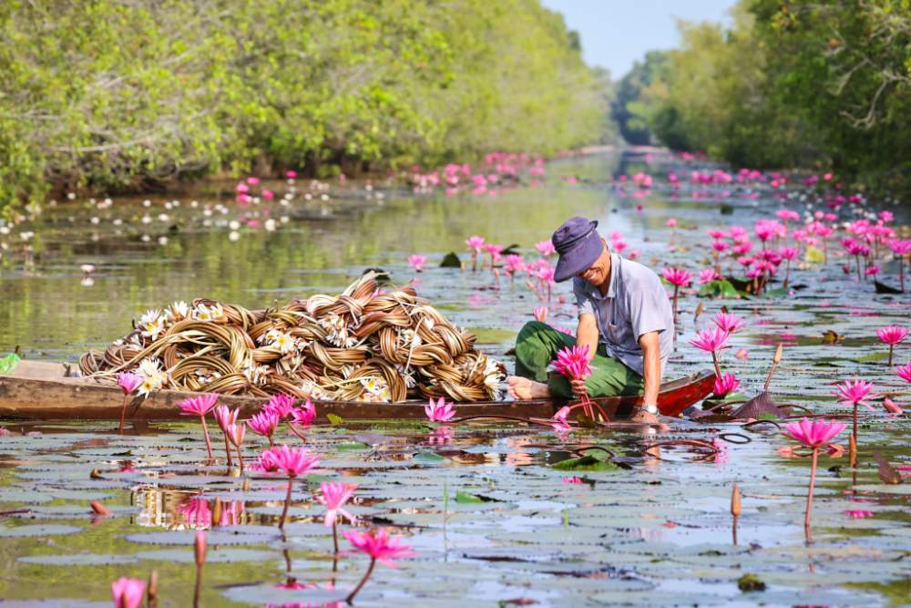 quand partir au Sud du Vietnam, meilleure période pour voyager au Sud du Vietnam