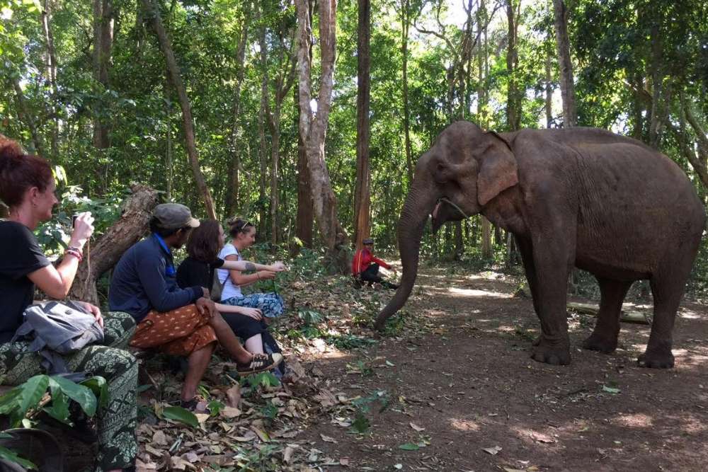 Que faire au Cambodge - Randonner dans les montagnes du nord-est