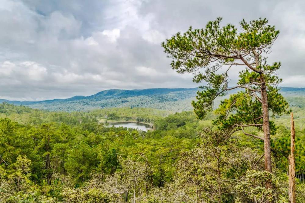 parc national kirirom, itinéraire randonnée et trekking au cambodge