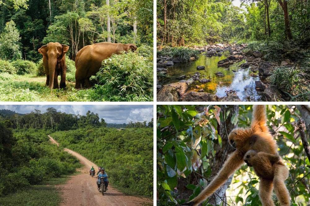 parc national de virachey, itinéraire randonnée et trekking au cambodge