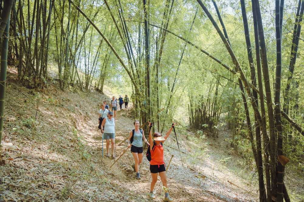 randonnée dans la forêt, da bac, voyage vietnam
