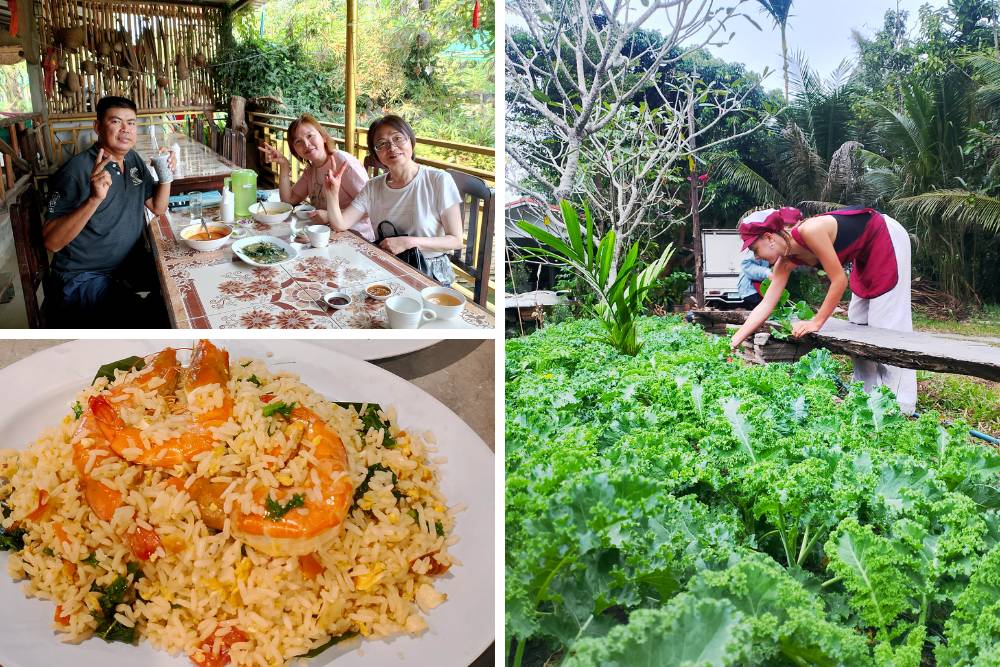 restaurant à chiang rai, give green farm house restaurant