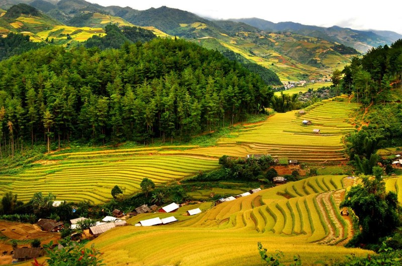 quand voir, rizieres en terrasse, rizieres, nord vietnam, vietnam, pu luong