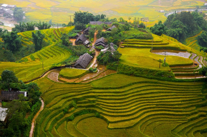quand voir, rizieres en terrasse, rizieres, nord vietnam, vietnam, sapa