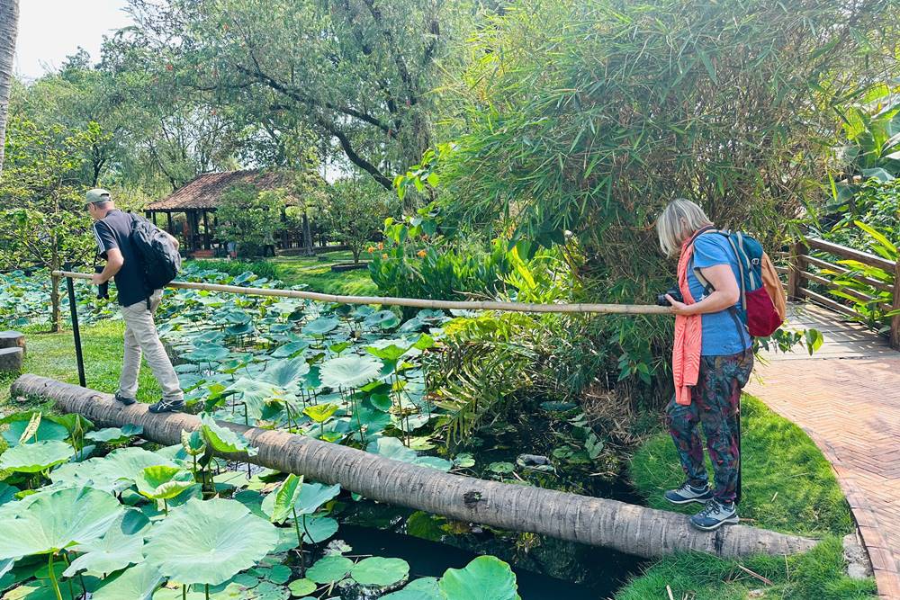 Découvrir le sud du Vietnam : guide complet de voyage