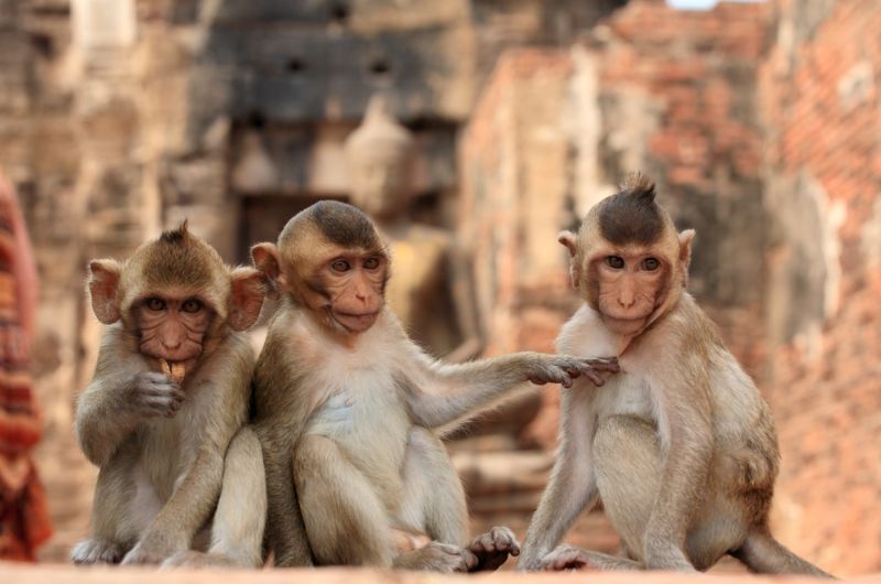 temples khmers en Thaïlande, lopburi