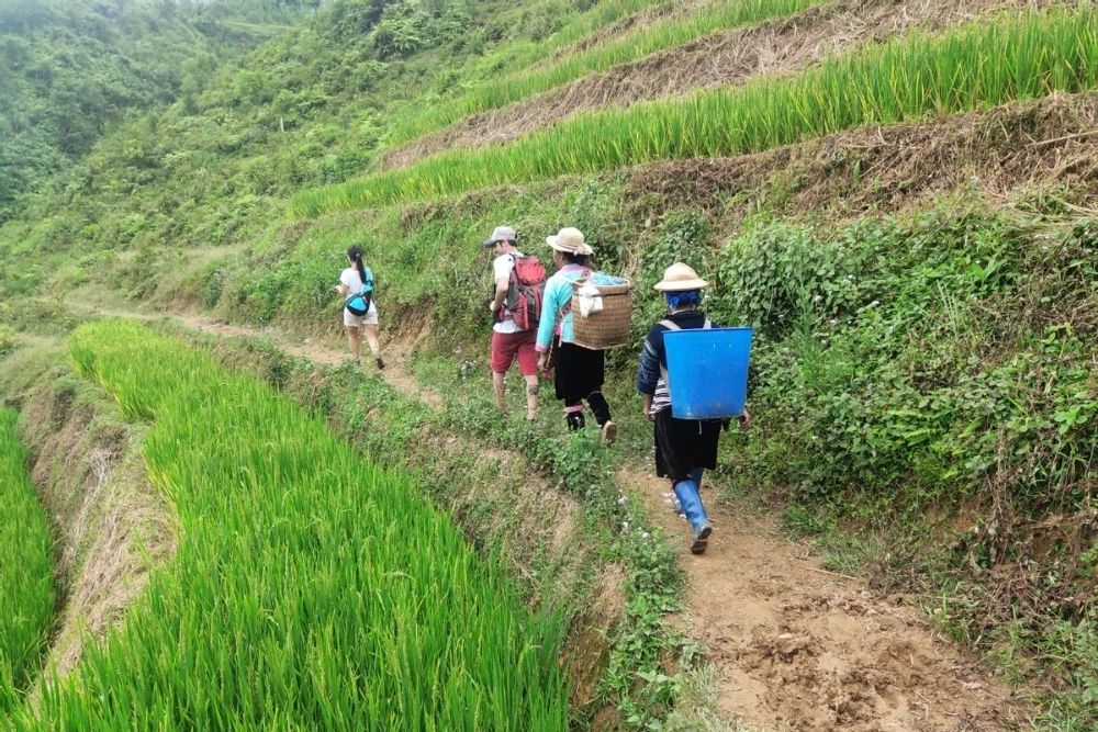Trekking classique à Sa Pa
