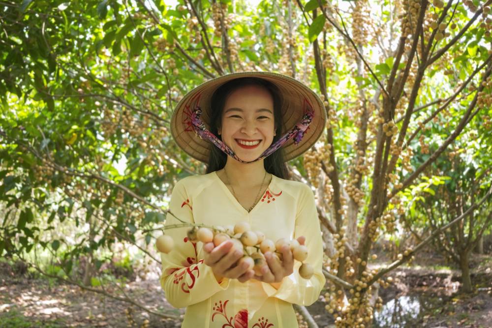 verger fruit delta mekong, verger my khanh, verger can tho