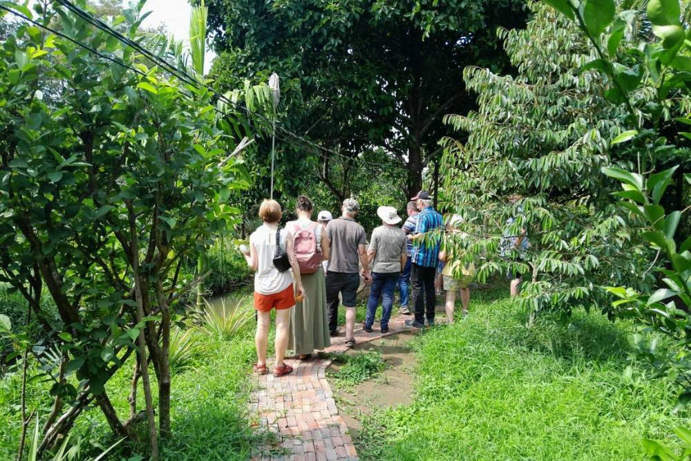 verger fruit delta mekong, verger vam xang, verger can tho