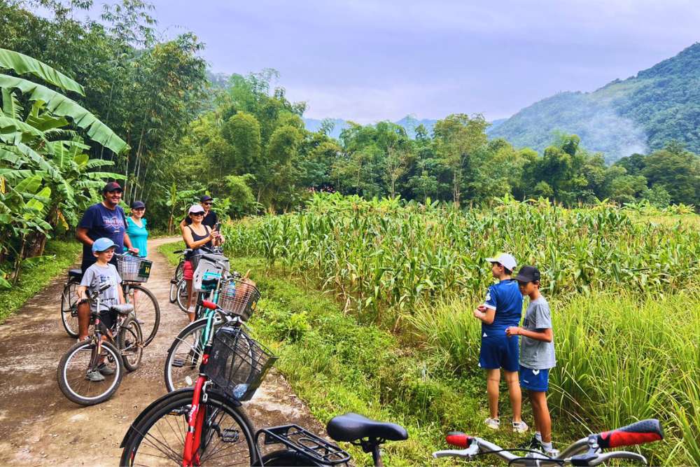 paysages verdoyant au nord du Vietnam en octobre