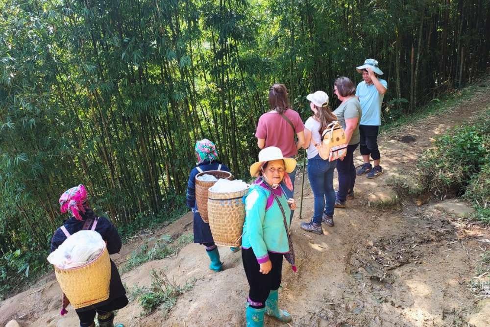 dans une forêt au nord du Vietnam