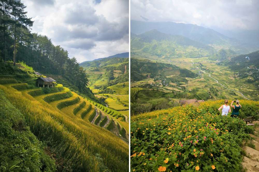 magnifiques rizières en terrasse au Nord-Ouest du Vietnam en septembre