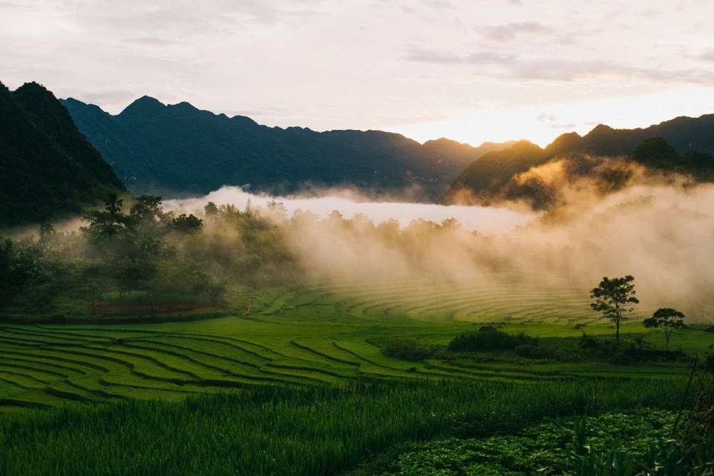 rizières à Pù Luông dans la brume martinale de septembre