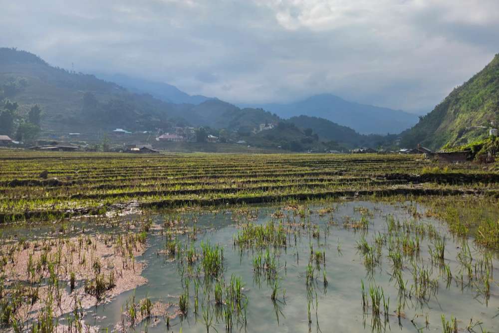 Un voyage au Vietnam & Laos