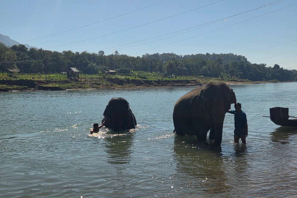 Un voyage au Vietnam & Laos