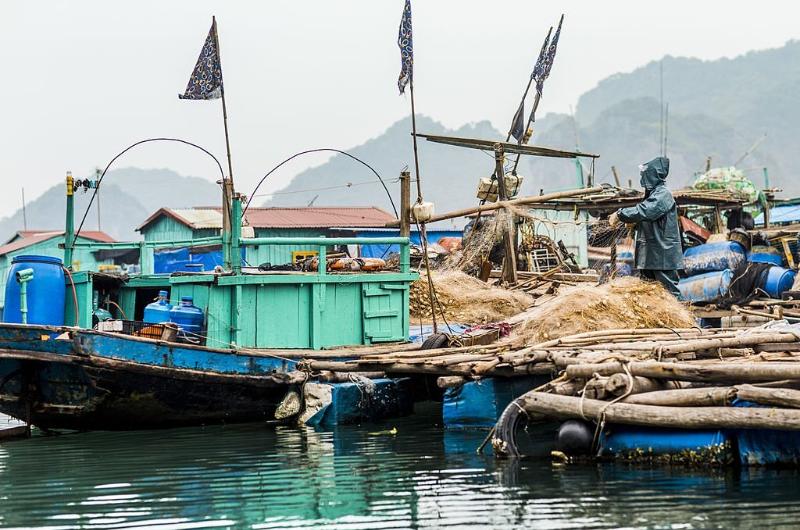 guide complet de île de Cat Ba, village de pêcheurs Cai Beo