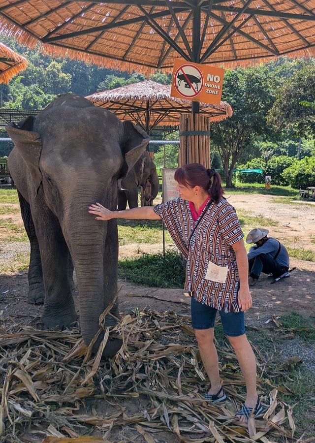 Un couple de touristes d'Asiatica Travel en visite à Chiang Mai, en Thaïlande.