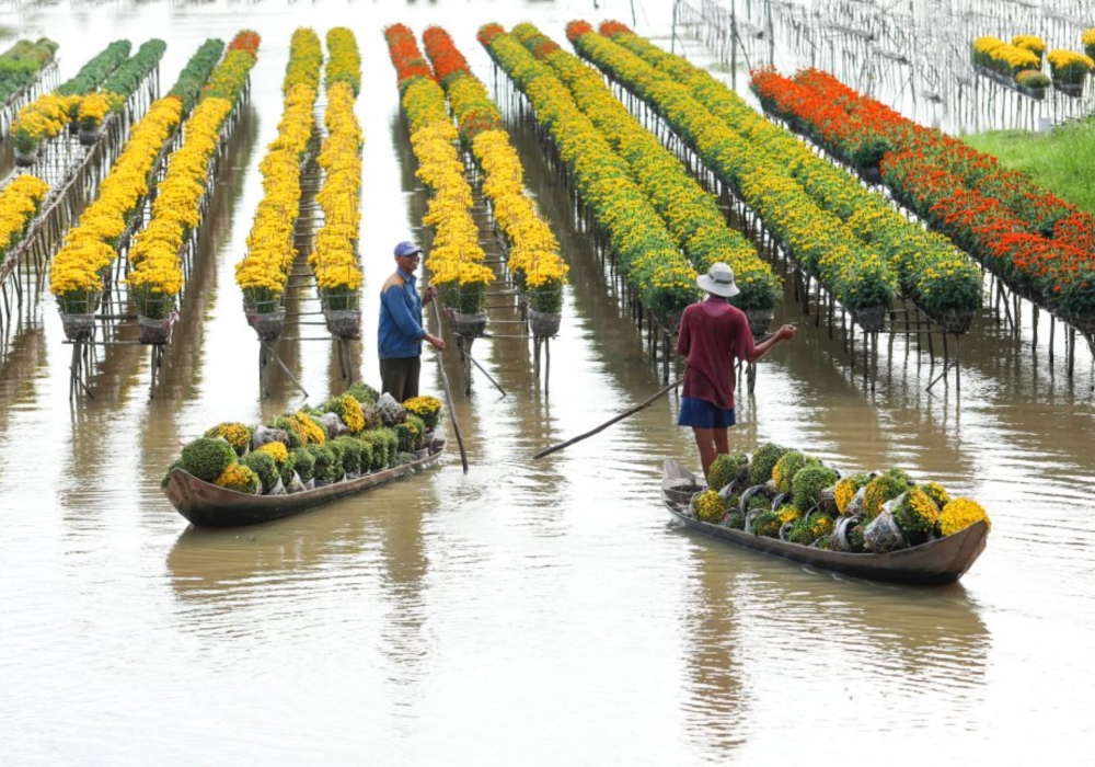 Paradis de Sihanoukville, Asiatica Travel