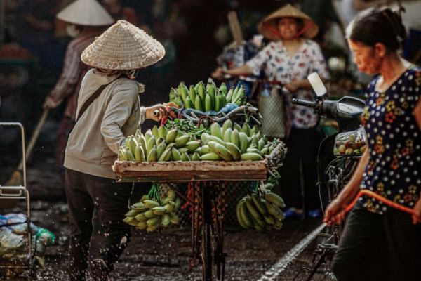 voyage vietnam, découverte vietnam vélo, marchande ambulante