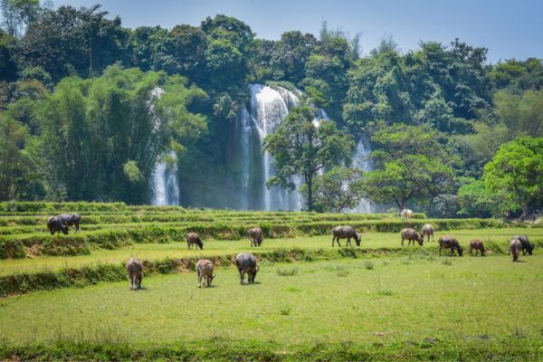 vietnam cambodge pas cher, 1 semaine nord ouest vietnam, chutes d’eau