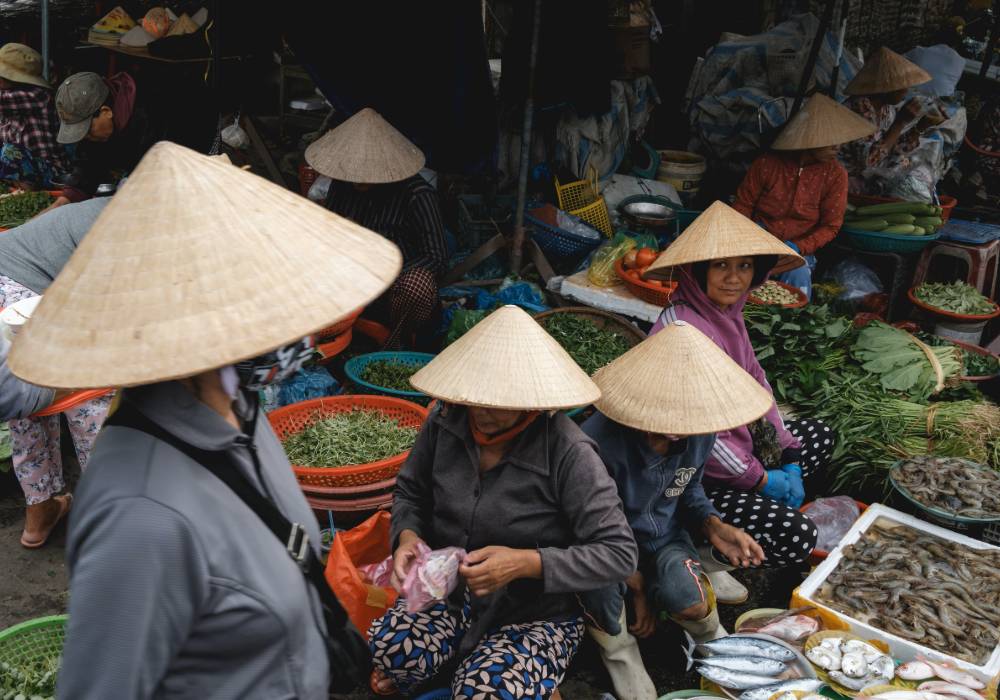 vietnam cambodge authentique, randonnée nord vietnam, ethnies, cueillette des herbes