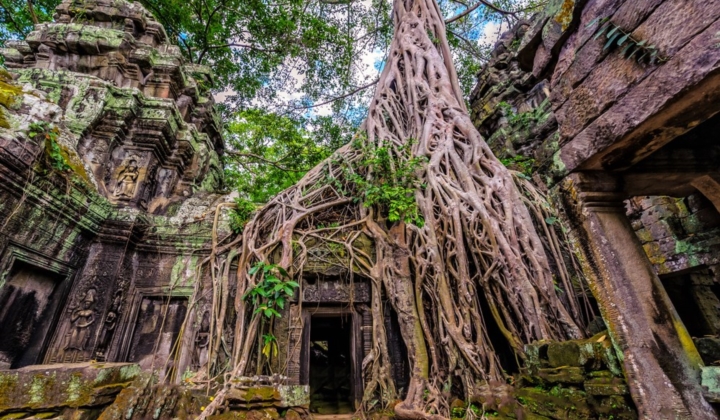 vietnam cambodge authentique, cambodge 2 semaines, ta prohm