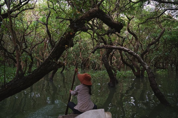 agence voyage vietnam cambodge, voyage cambodge 1 semaine, forêt de cajeput