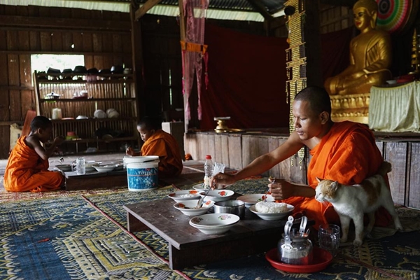 agence voyage vietnam cambodge, vietnam cambodge 2 semaines, moines au temple