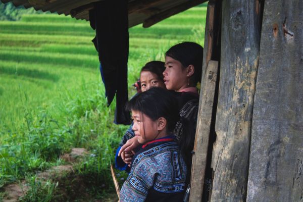 découvrir vietnam, trek en montagne au nord vietnam, rizières en terrasse, enfants hmong