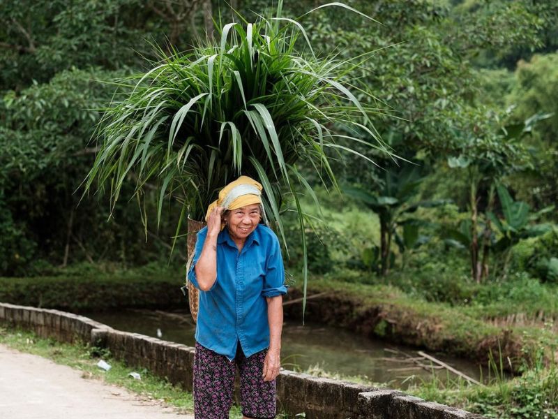 voyage vietnam cambodge, randonnée facile vietnam, nord vietnam