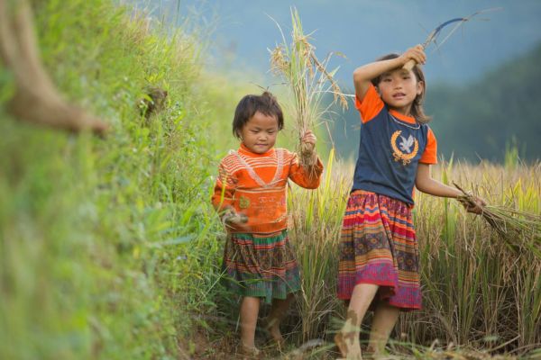 voyage vietnam cambodge, randonnée facile vietnam, rizières, enfants hmong