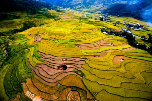 vacances vietnam, circuit au nord vietnam authentique, rizières en terrasse