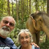 avis voyageurs, laos, éléphant